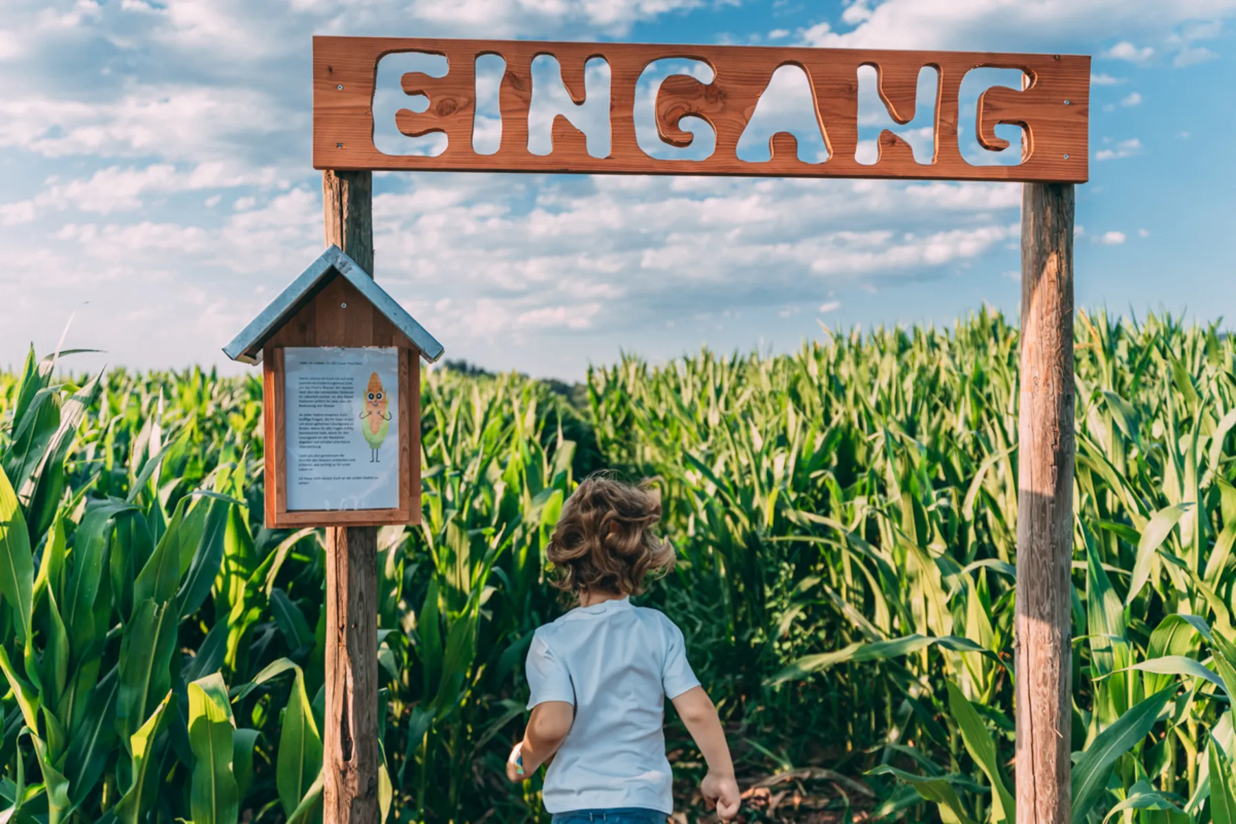Corn maze at Gut Hügle Adventure Farm